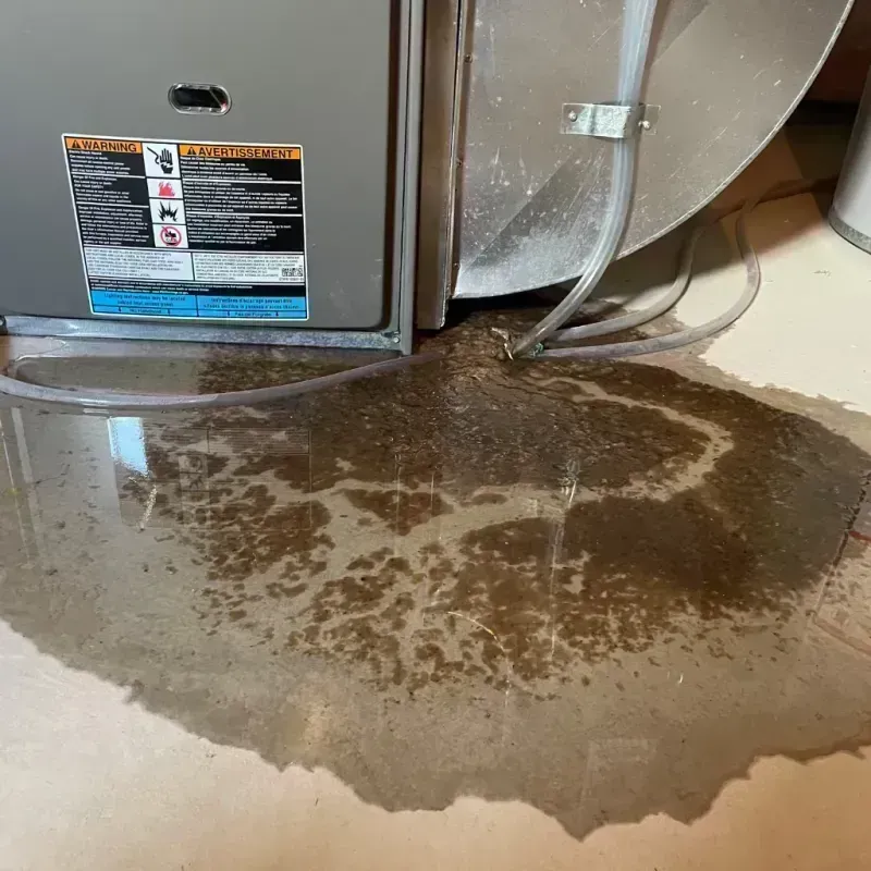 Appliance Leak Cleanup in Big Lake, TX